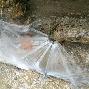 周矶办事处消防管道漏水检测